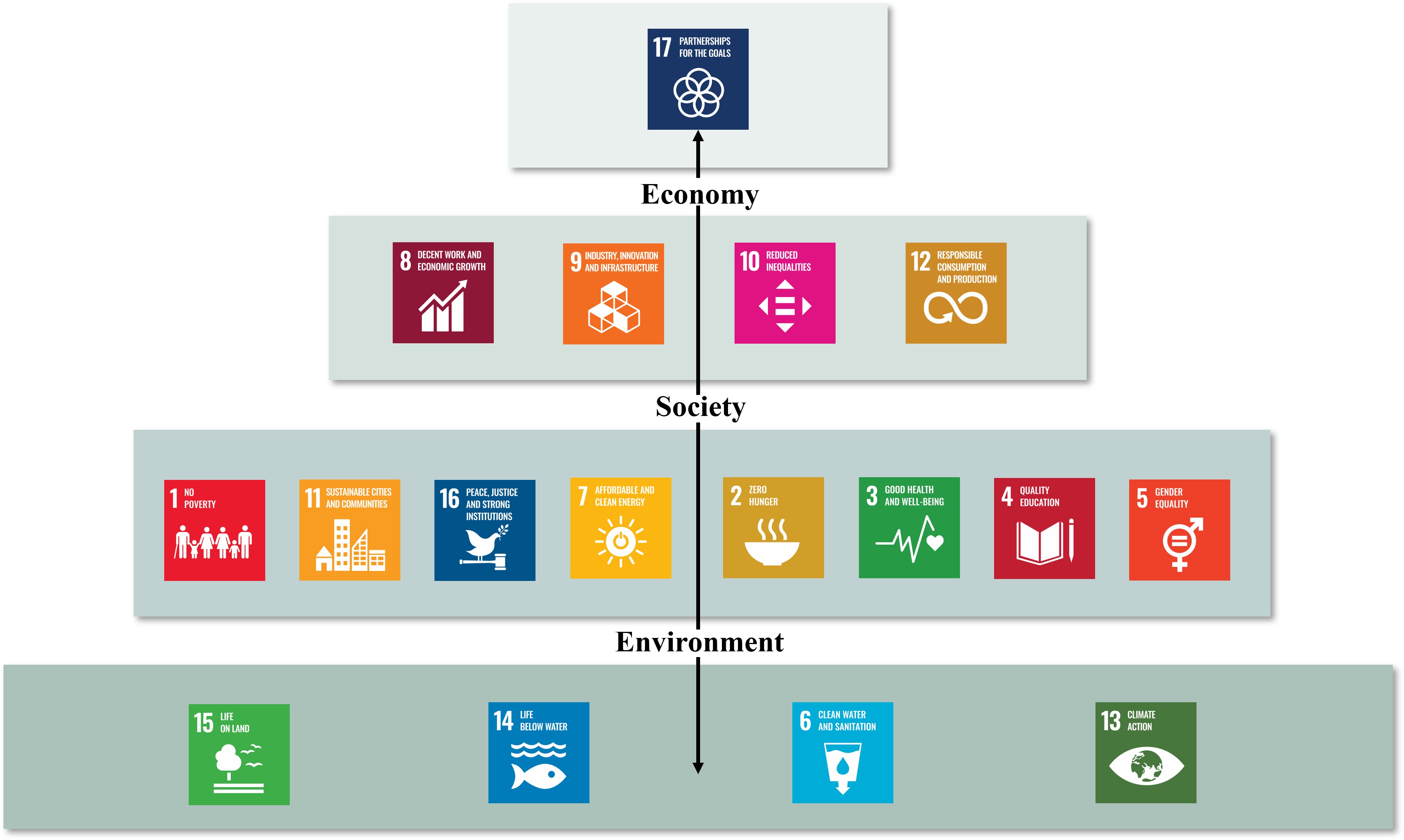 Paradox & Sustainability - Leadership & Society Forum 2019